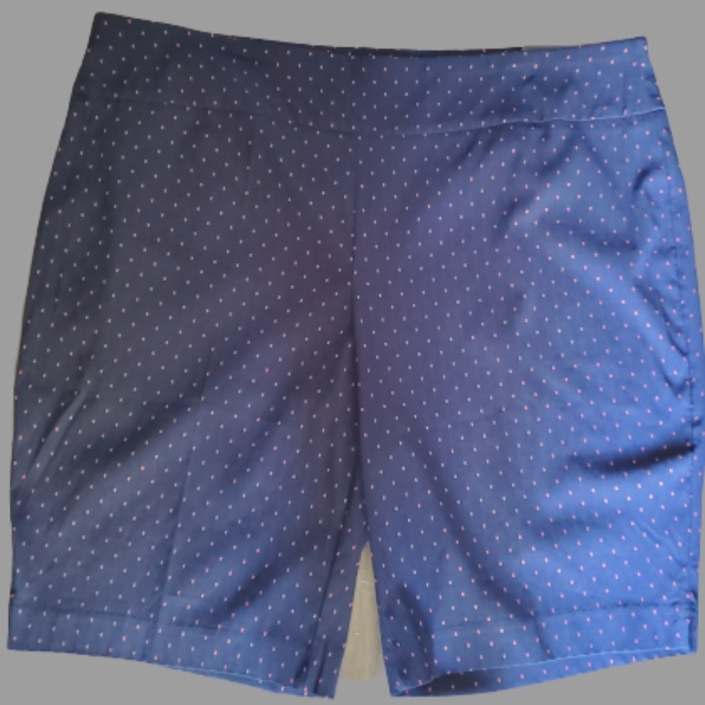 NWT Attyre blue checked sport shorts size 22